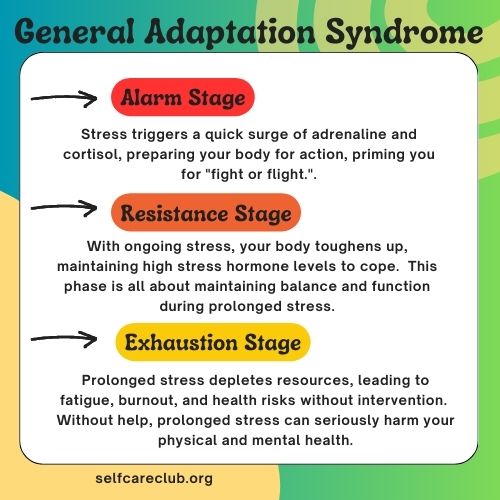 GAS: General Adaptation Syndrome: Your Body's Response to Stress