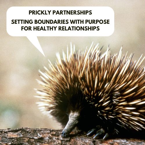 Prickly Partnerships - Setting Boundaries with Purpose for Healthy Relationships