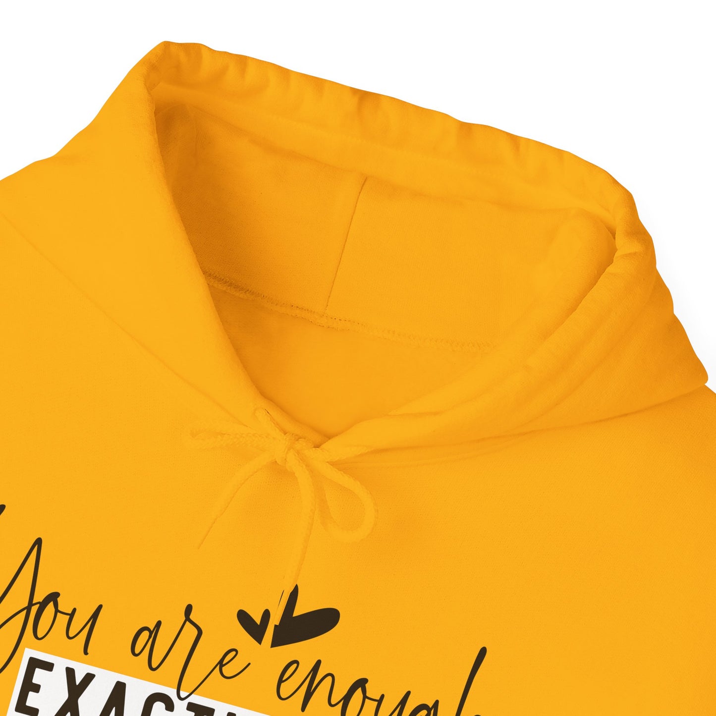 EXACTLY ENOUGH Hooded Sweatshirt