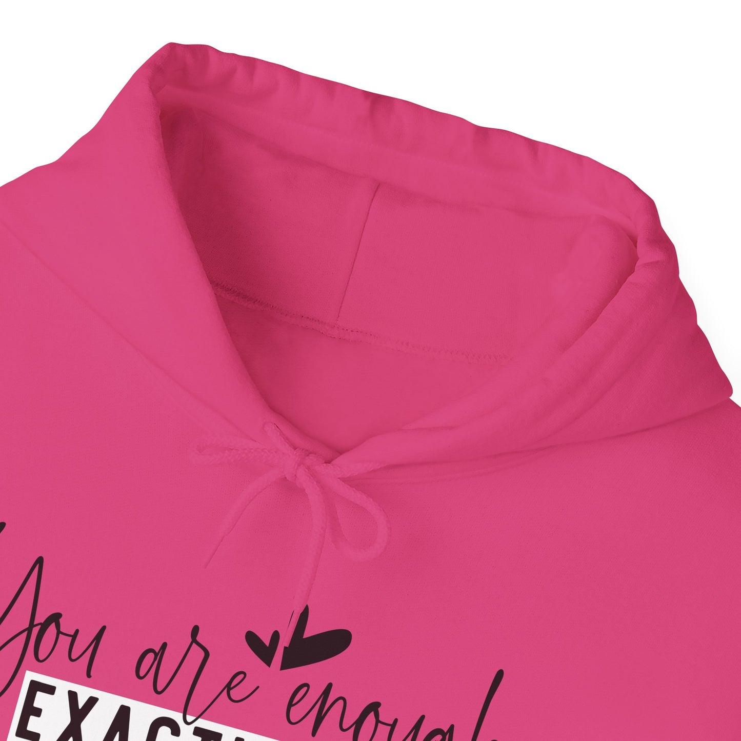 EXACTLY ENOUGH Hooded Sweatshirt