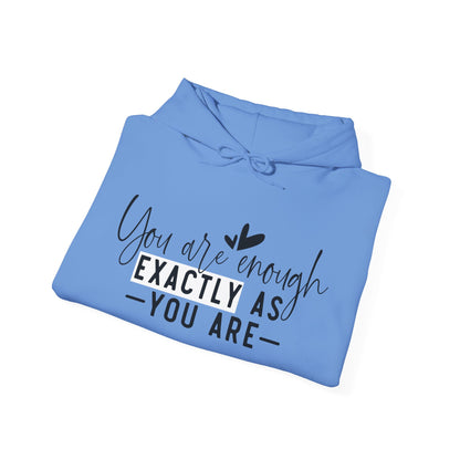 EXACTLY ENOUGH Hooded Sweatshirt