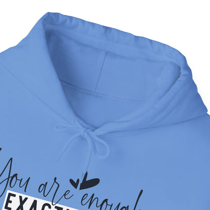 EXACTLY ENOUGH Hooded Sweatshirt